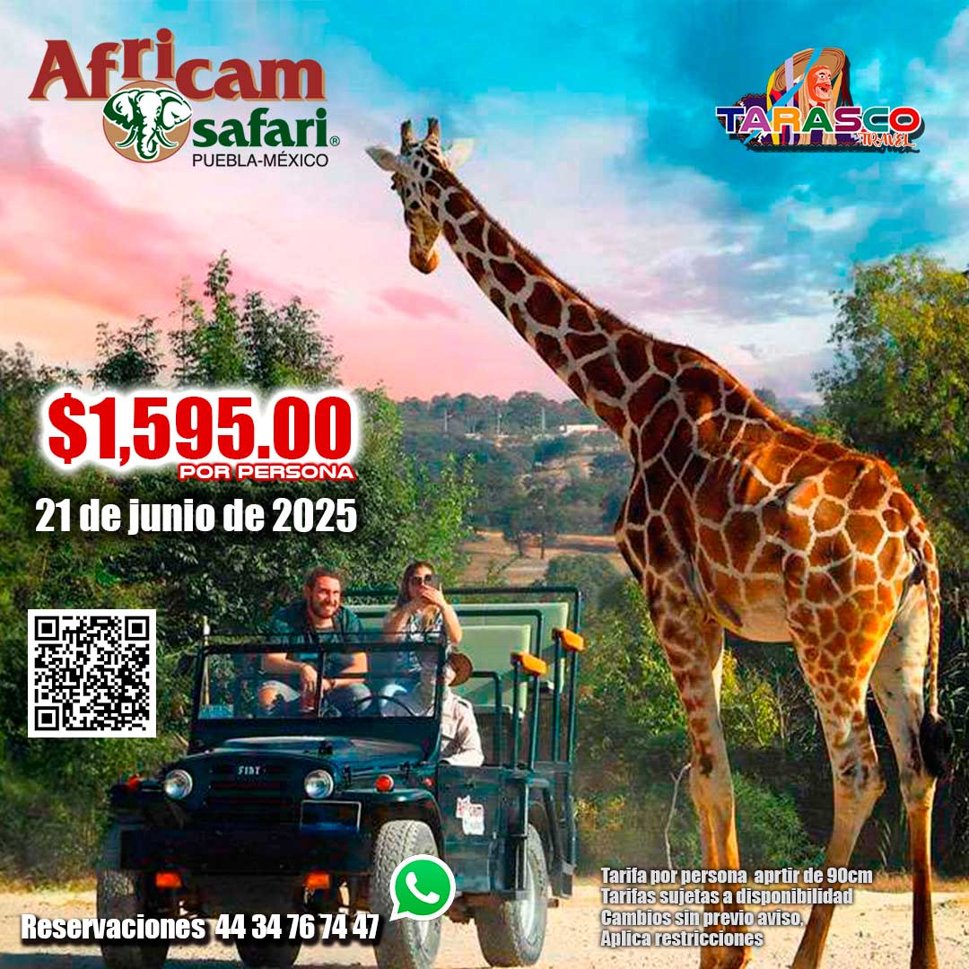 Africam Safari